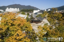 충주 관아공원 단풍…가을 분위기 물씬