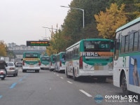 출근 길 정체 유발, 삼영운수 버스들의 불법 행위
