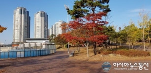 안산시 호수공원 공원에서 바라본 가을 환경의 레이크타운 아파트 전경