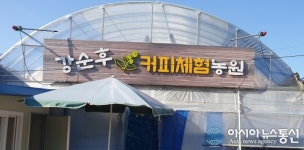 [기획] 대둔산 자락에 주렁주렁 열린 아라비카 커피