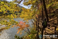 역시 단풍은 보은 속리산 세조길이 최고여!