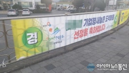 양양군 강현면사무소 입구에 연달아 걸려 있는 불법 현수막