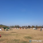 넓은 여주 강천보 캠핑장…거리두기 필수