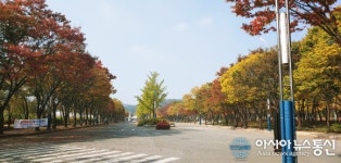 인천대공원 입구에도 가을이 찾아와 나무들이 붉고 노랗다