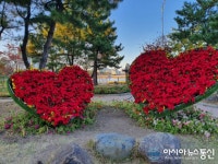 크리스마스가 떠오로는 붉은 빛의 포인세티아로 꾸며진 하트 조형물