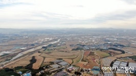 안성시 가을 바라기