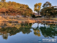 ‘데칼코마니 장관 연출’…충주 임충민공충렬사 가을 연못