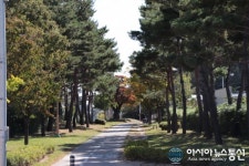 포항 우현동 철길숲