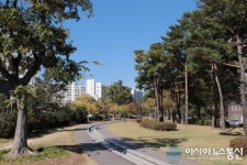 걷기좋은 포항 우현동 그린웨이 철길숲