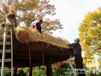 충북도청 정원 내 정자(亭子), 이엉 교체 중