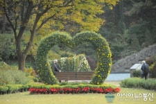 연인들을 기다리는 하트 국화 조형물