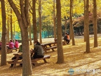 인천 원적산 등산객들이 공원 벤치 의자 앉아 코로나19를 잊고있어요