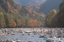 백담계곡을 감싸는 가을 단풍