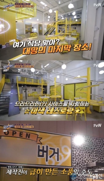 SBS 식스센스 최종회, 차태현-아이브 레이 특별 출연으로 관심 집중