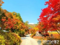 ‘한폭의 풍경화’…오색찬란 단풍에 뒤덮힌 충주 금봉산 석종사