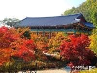 아름다운 비경 뽐내는 충주 금봉산 석종사