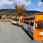 국립백두대간 수목원 호랑이 트램