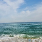 가을 바다 에메랄드 색을 뽐내... 눈길 끌어