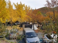 코로나19 특수 누리는 청도 캠핑장