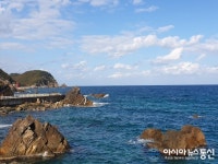 동해안 최고의 숨은 비경…강릉 헌화로 드라이브 코스