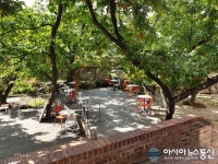 테라로사 커피공장, 이국적인 느낌 정원…데이트 하기 좋아요