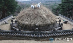 동구릉의 건원릉 풀베는 모습