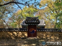 가을 단풍으로 물든 경산 자인 계정숲 진충묘