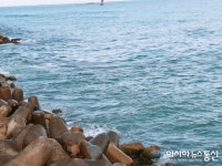 강원 강문해변 앞 바람에 이렁이는 바다