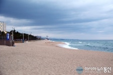 강릉 안목해변 여행객이 없다