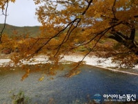 떨어진 낙엽조차 아름다운 청도 운문사 가는 길