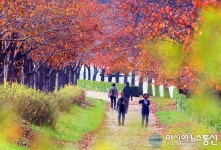 중년의 부부의 가을 산책