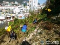 마산합포구 월영동, 시유지와 해안도로 ‘꽃길’ 조성