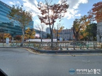 단속 대상 아닌가 중앙대학교 불법 현수막들