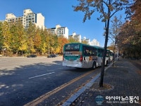 도로의 무법자, 삼영운수 51번 버스들