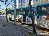 차 빼세요 삼영운수 버스들