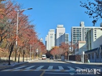 연인과 걷고 싶네 안양시 동안구 거리