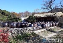 ‘선행 표본’ 보은군 장안면 우당 고택 장독대 장관
