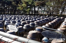 보은군 장안면 우당 고택 팔도장독대… ‘화합상징’