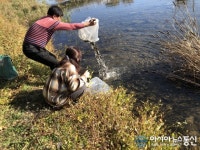 [고성군 브리핑] 노상공영유료주차장 운영 개시