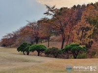 너무 힐링되네~ 아름다운 조경들