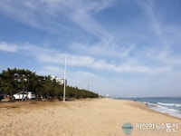강릉 안목해변 동해의 멋진 뷰를 감상 할 수 있어요