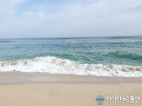 주말여행 나들이객 발길 이어져…바다 보기 위해 왔어요~