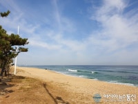 그림같은 하늘이 있는 멋진 안목해변