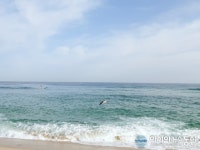 안목해변 푸른 바다 앞…여기가 포토존 명당