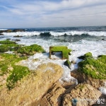 자연이 만들어낸 한 장의 그림 같은 풍경