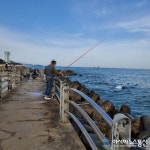 낚시 즐기러 강문해변 찾은 관광객들.. 코로나19에서 잠시 벗어나