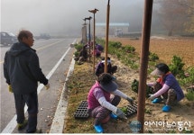 합천 율곡면 항곡1구, 마을 얼굴 새롭게 꽃단장