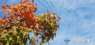 [전북 날씨] 어제보다 2도 오른 맑은 날씨, 미세먼지 보통...낮 최고기온 14도