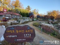 11월 대청호 둘레산 누리길 풍경