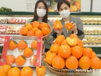 농협유통 하나로마트, 크기와 맛이 두 배인 대봉시 선보여